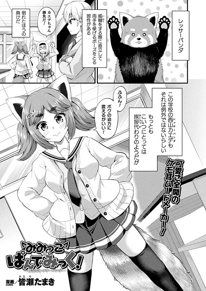 ｜みみっこ・ぱんでみっく！―陽気なレッサーパンダ―【単話】❤皆瀬たまき