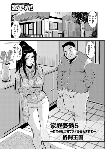 ｜家庭妻艶（5）❤格闘王国