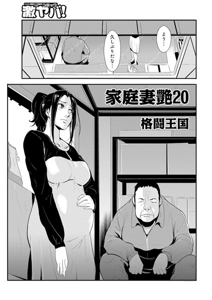 ｜家庭妻艶 （20）❤格闘王国