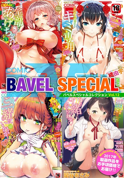 ｜COMIC BAVEL SPECIAL COLLECTION（コミックバベル スペシャルコレクション） VOL12❤美矢火