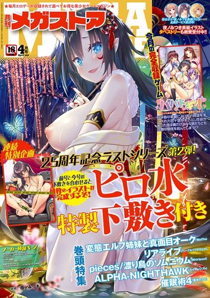 ｜月刊メガストア 2019年4月号❤メガストア編集部