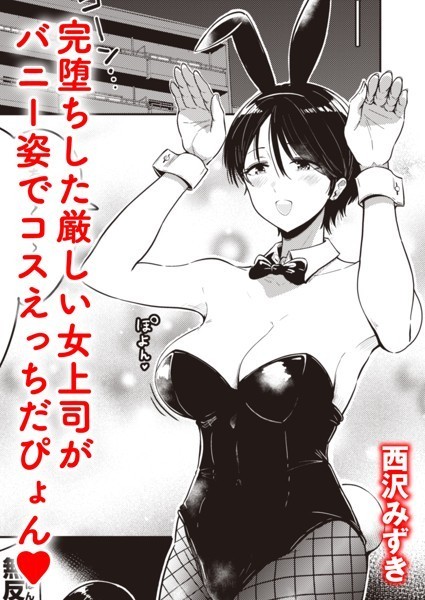 ｜堕ちたおんな❤西沢みずき