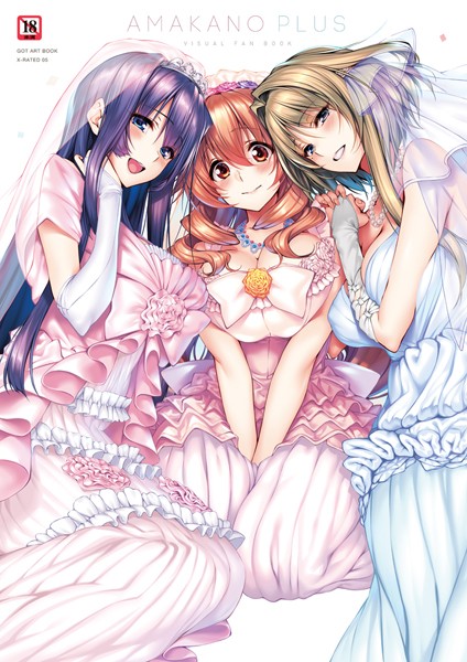 ｜アマカノ＋ ビジュアルファンブック❤ピロ水