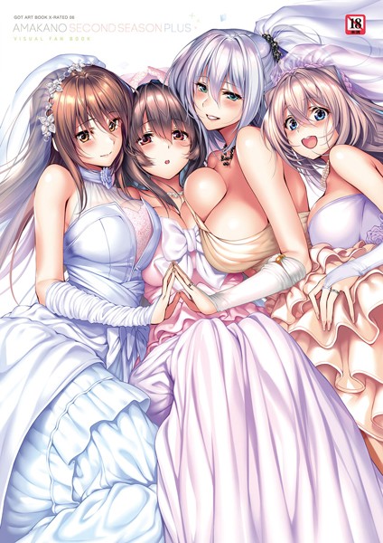 ｜アマカノ〜Second Season〜＋（プラス）ビジュアルファンブック【FANZA限定特典付き】❤ピロ水