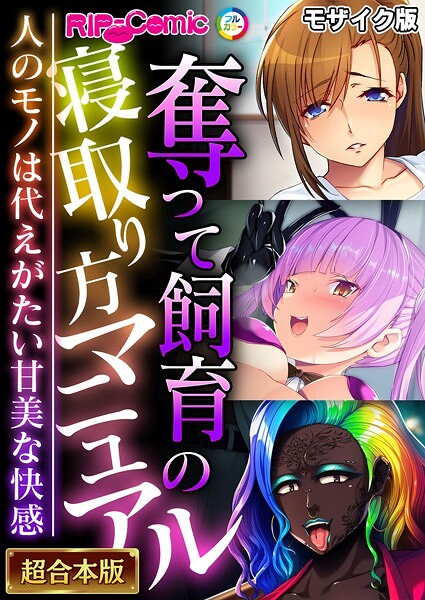 ｜奪って飼育の寝取り方マニュアル 〜人のモノは代えがたい甘美な快感〜【超合本シリーズ】 モザイク版❤BENETTY