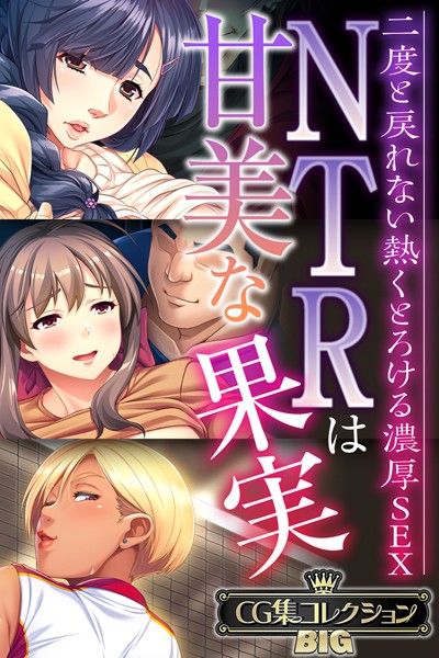 大人のSEXY絵本｜NTRは甘美な果実〜二度と戻れない熱くとろける濃厚SEX〜【CG集コレクションBIG】❤ー単行本